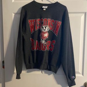 *SOLD* Champion Wisconsin Badgers Sweatshirt